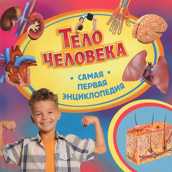 Обложка книги Тело человека, И. В. Травина