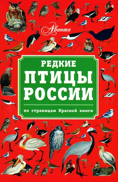 Обложка книги Редкие птицы России. По страницам Красной книги, В. Г. Бабенко