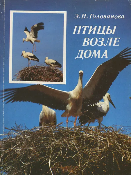 Обложка книги Птицы возле дома, Э. Н. Голованова