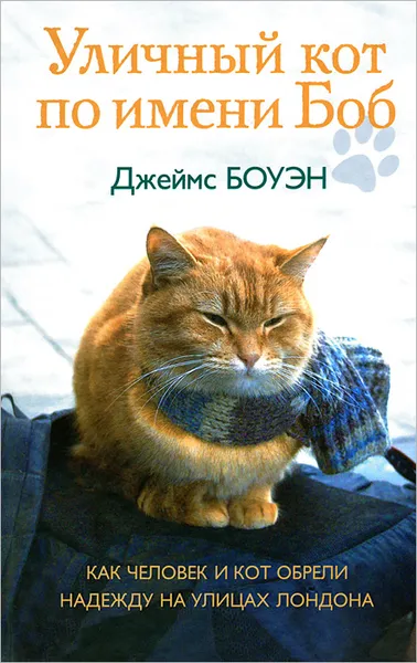 Обложка книги Уличный кот по имени Боб, Джеймс Боуэн
