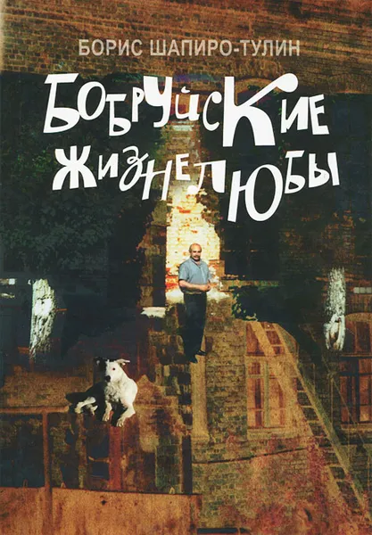 Обложка книги Бобруйские жизнелюбы, Борис Шапиро-Тулин