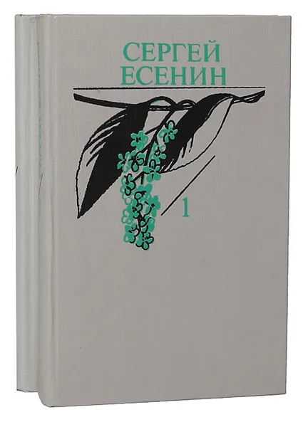 Обложка книги Сергей Есенин. Собрание сочинений в 2 томах (комплект), Сергей Есенин