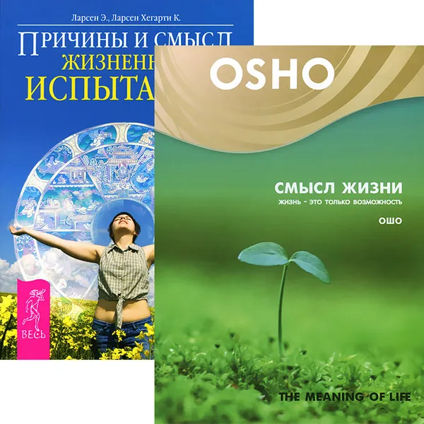 Обложка книги Причины и смысл жизненных испытаний (+ DVD), Э. Ларсен, Хегарти К. Ларсен