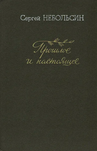 Обложка книги Прошлое и настоящее. Статьи о литературе, Сергей Небольсин