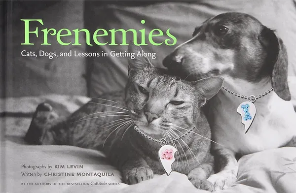 Обложка книги Frenemies: Cats, Dogs, and Lessons in Getting Along, Christine Montaquila