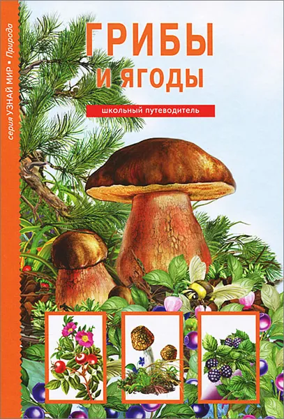 Обложка книги Грибы и ягоды, С. Ю. Афонькин