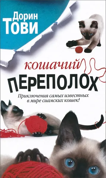 Обложка книги Кошачий переполох, Тови Дорин