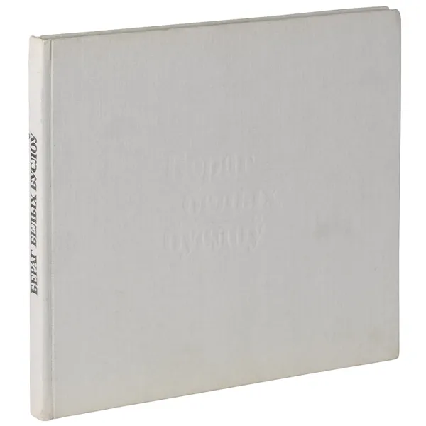 Обложка книги Берег белых аистов, В. Жданович