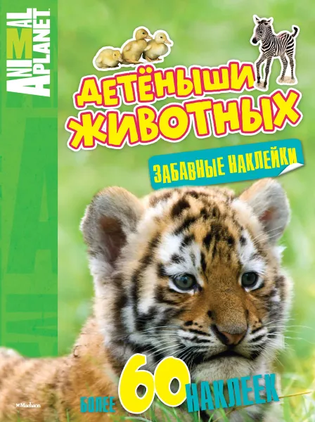 Обложка книги Детеныши животных (+ наклейки), Юрий Амченков,Валентина Бологова