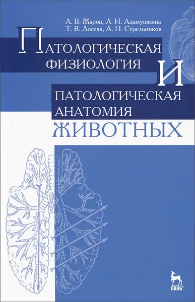 Обложка книги Патологическая физиология и патологическая анатомия животных. Учебник, А. В. Жаров, Л. Н. Адамушкина, Т. В. Лосева, А. П. Стрельников