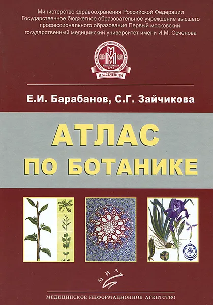 Обложка книги Атлас по ботанике. Анатомия, морфология и систематика высших растений, Е. И. Барабанов, С. Г. Зайчикова