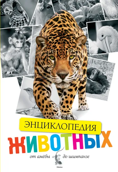 Обложка книги Энциклопедия. Животные. От амебы до шимпанзе, Мартин Уолтерс, Джинни Джонсон