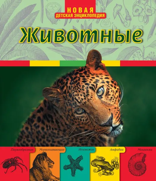 Обложка книги Животные, И. В. Травина