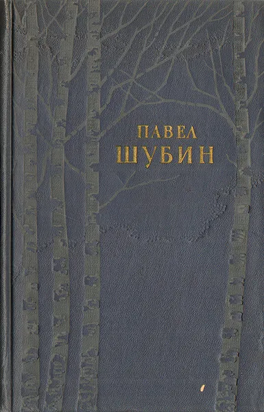 Обложка книги Павел Шубин. Стихотворения и поэмы, Павел Шубин