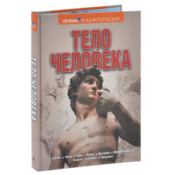 Обложка книги Тело человека, Джон Фарндон, Никки Лэмпон