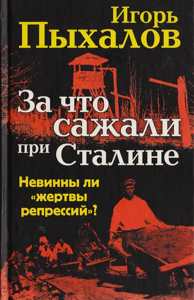 Обложка книги За что сажали при Сталине. Невинны ли 