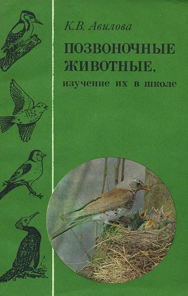 Обложка книги Позвоночные животные, изучение их в школе, К. В. Авилова