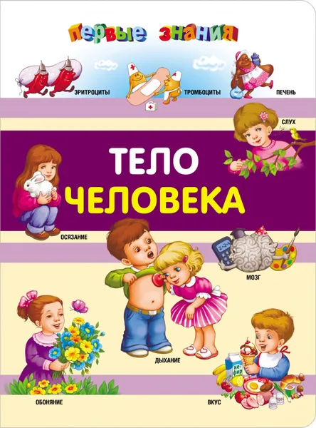 Обложка книги Тело человека, Малевич Елизавета Андреевна