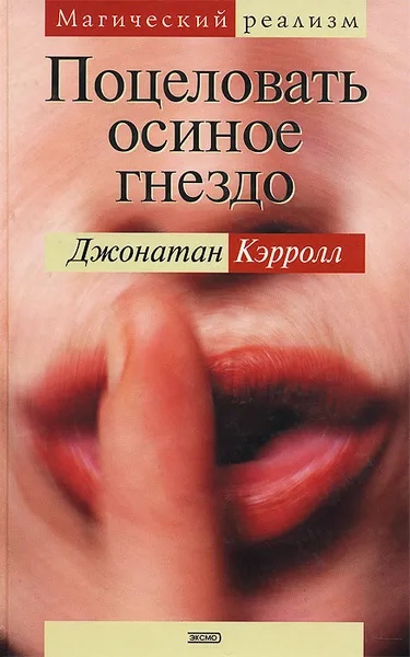 Обложка книги Поцеловать осиное гнездо, Джонатан Кэрролл