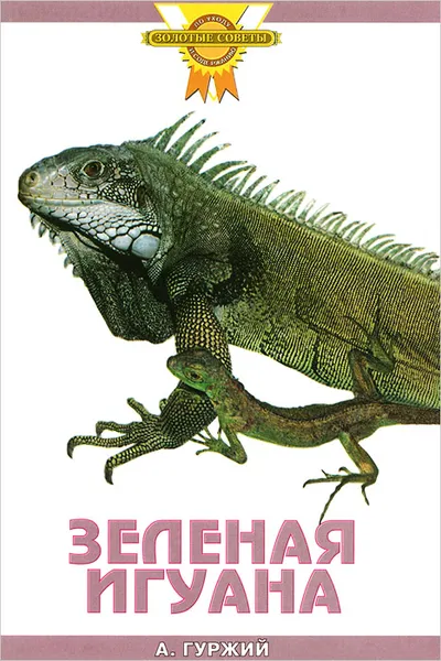 Обложка книги Зеленая игуана, А. Гуржий