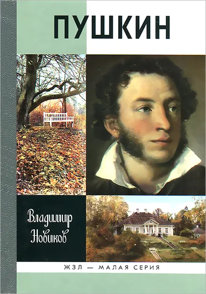 Обложка книги Пушкин, Владимир Новиков