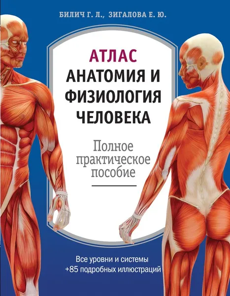 Обложка книги Атлас. Анатомия и физиология человека, Зигалова Елена Юрьевна, Билич Габриэль Лазаревич