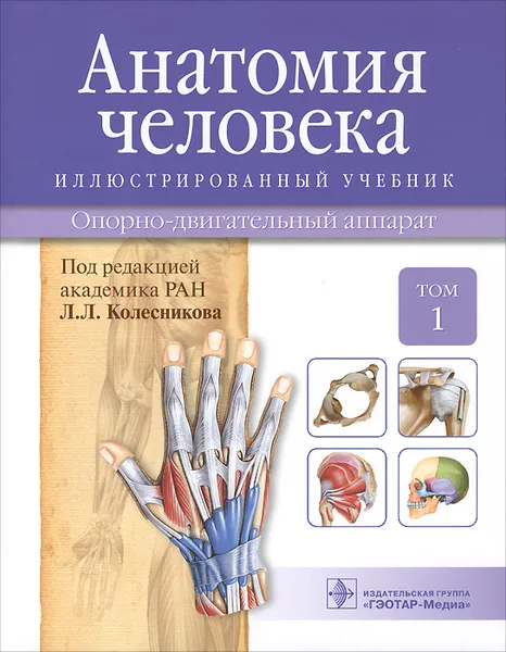 Обложка книги Анатомия человека. Опорно-двигательный аппарат. Учебник. В 3 томах. Том 1, Иван Гайворонский,Лев Колесников,Геннадий Ничипорук,Владимир Филимонов,Александр Цыбулькин,Александр Чукбар,Валентин Шилкин