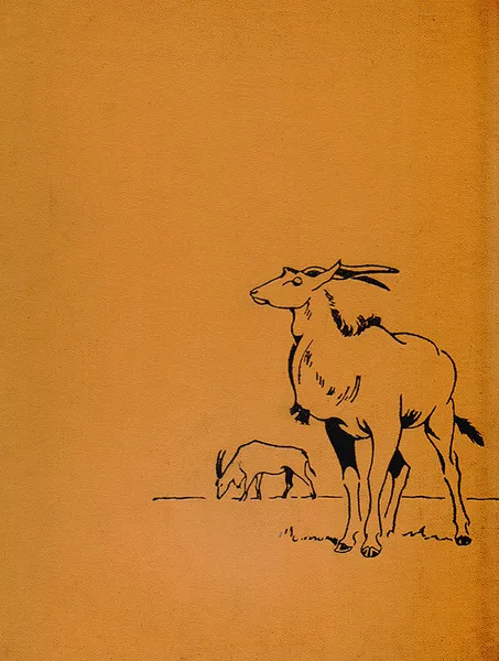Обложка книги Зоопарк 