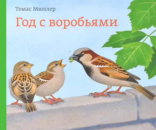 Обложка книги Год с воробьями, Томас Мюллер