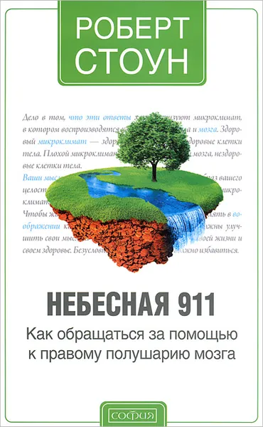 Обложка книги Небесная 911. Как обратиться за помощью к правому полушарию мозга, Роберт Стоун