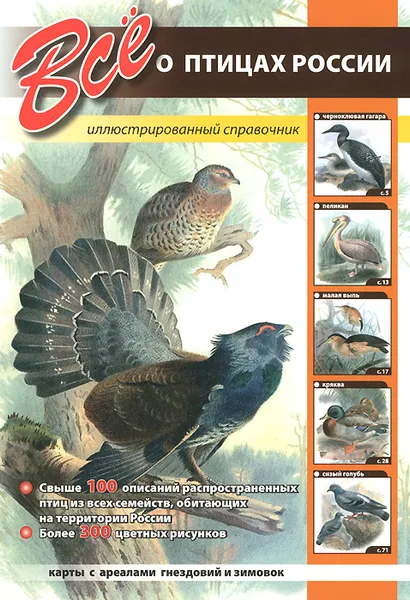 Обложка книги Все о птицах России, 