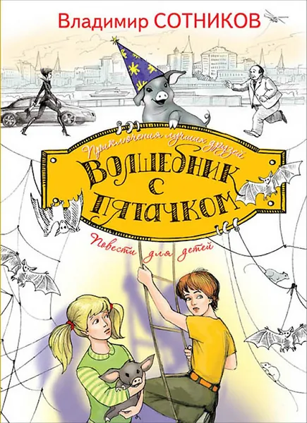 Обложка книги Волшебник с пятачком, Владимир Сотников