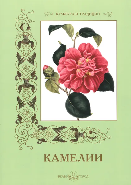 Обложка книги Камелии, С. Иванов