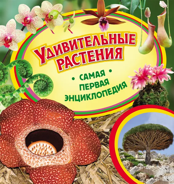 Обложка книги Удивительные растения, И. В. Травина