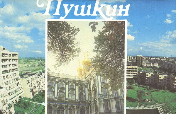 Обложка книги Пушкин, Л. В. Бардовская