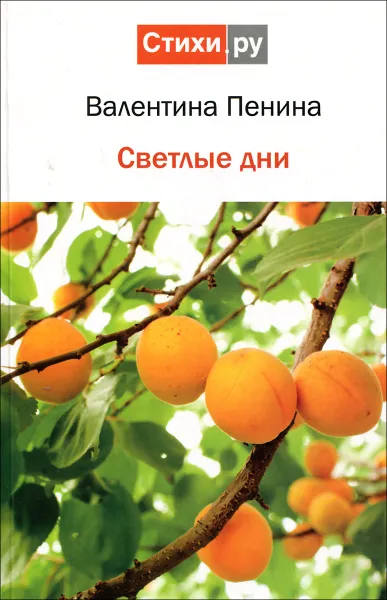 Обложка книги Светлые дни, Валентина Пенина