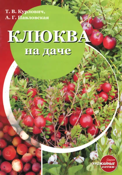 Обложка книги Клюква на даче, Т. В. Курлович, А. Г. Павловская