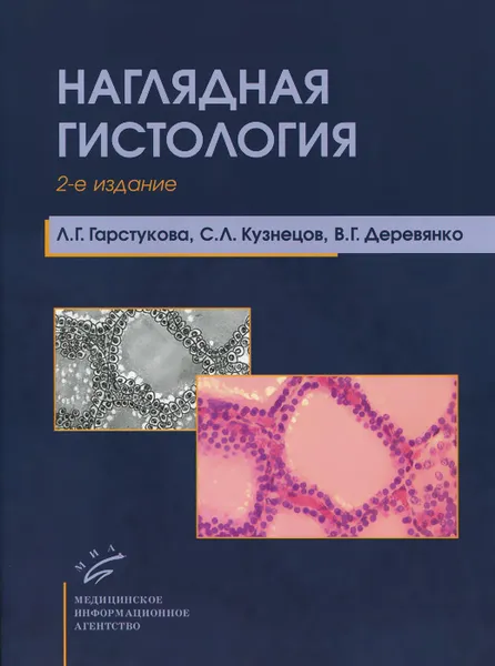 Обложка книги Наглядная гистология, Л. Г. Гарстукова, С. Л. Кузнецов, В. Г. Деревянко