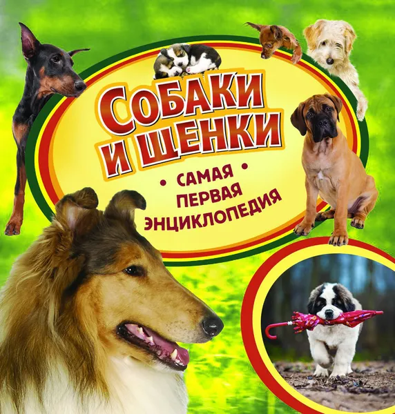 Обложка книги Собаки и щенки, И. В. Травина