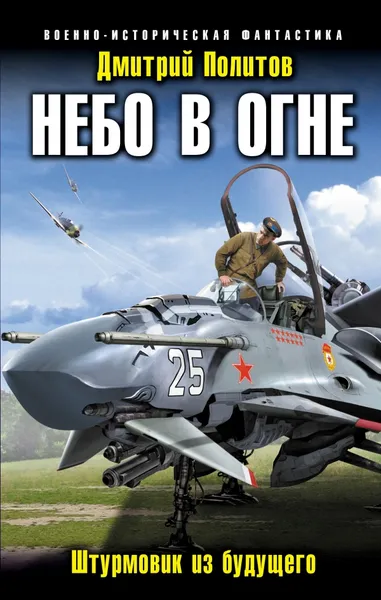 Обложка книги Небо в огне. Штурмовик из будущего, Политов Дмитрий Валерьевич