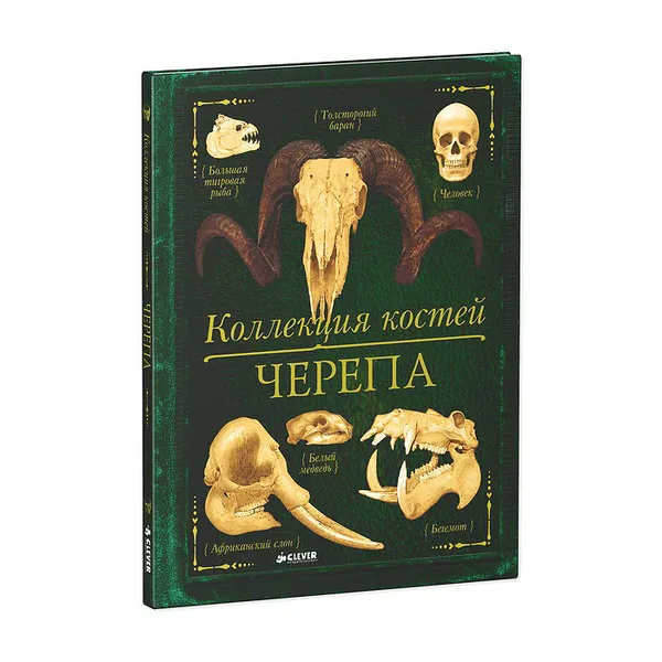 Обложка книги Коллекция костей. Черепа, Камилла де ла Бедуайер