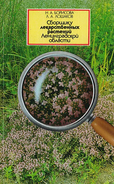 Обложка книги Сборщику лекарственных растений Ленинградской области, Борисова Н. А., Лошаков Л. А.