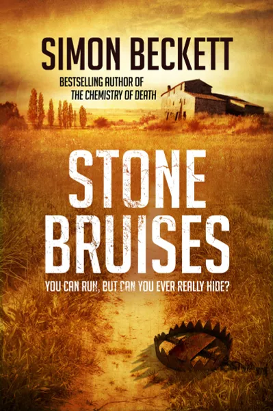 Обложка книги Stone Bruises, Beckett, Simon