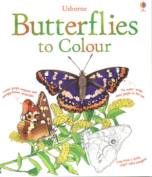 Обложка книги Butterflies to Colour, Megan Cullis