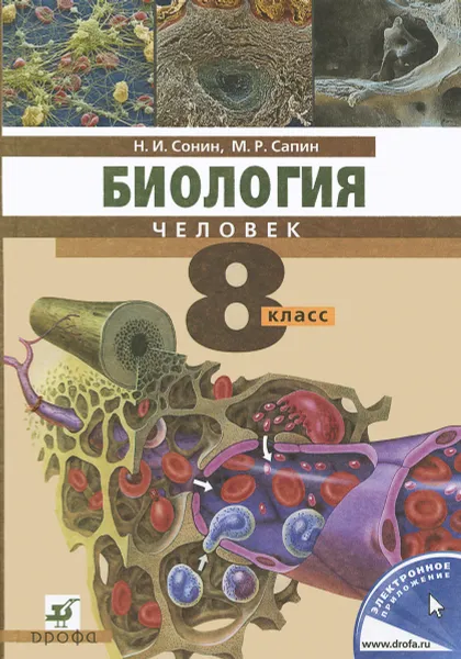 Обложка книги Биология. Человек. 8 класс. Учебник, Н. И. Сонин, М. Р. Сапин