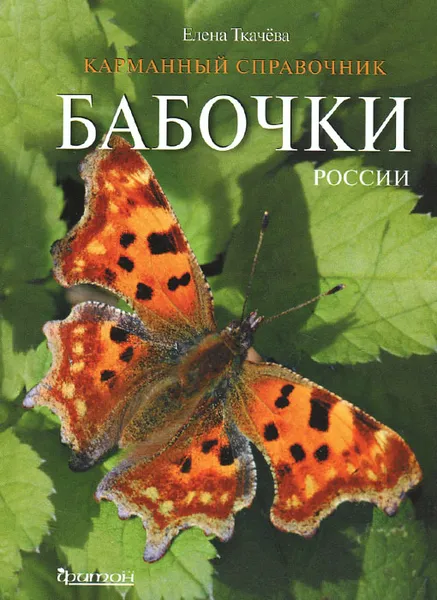 Обложка книги Бабочки России, Елена Ткачева