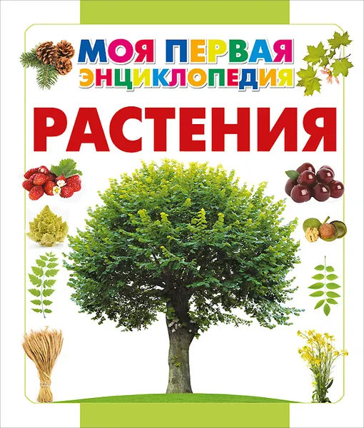 Обложка книги Растения, А. А. Спектор