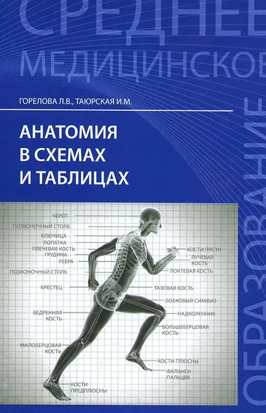 Обложка книги Анатомия в схемах и таблицах. Учебное пособие, Л. В. Горелова, И. М. Таюрская