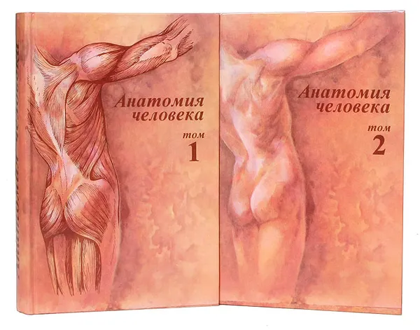 Обложка книги Анатомия человека (комплект из 2 книг), Борзяк Эдуард Иванович