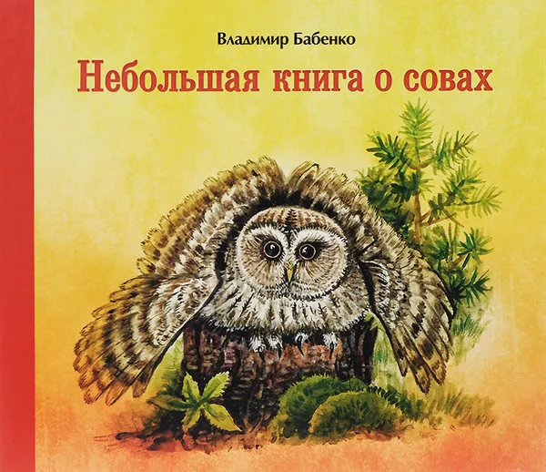 Обложка книги Небольшая книга о совах, Владимир Бабенко